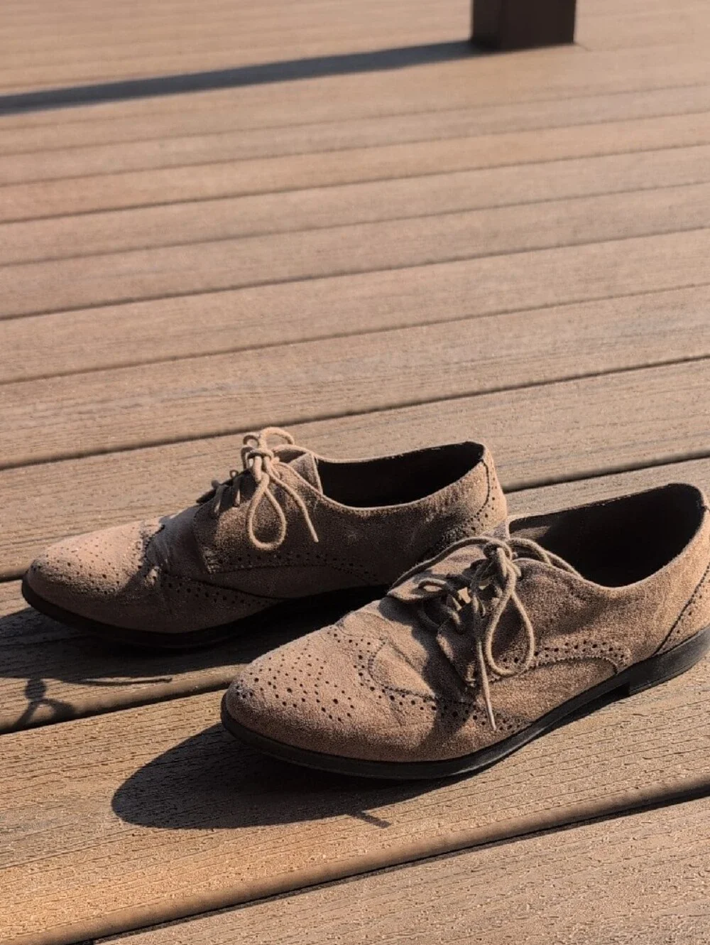MIA suede wingtip